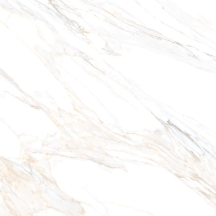 Aurum Calacatta Polished 48 x 48